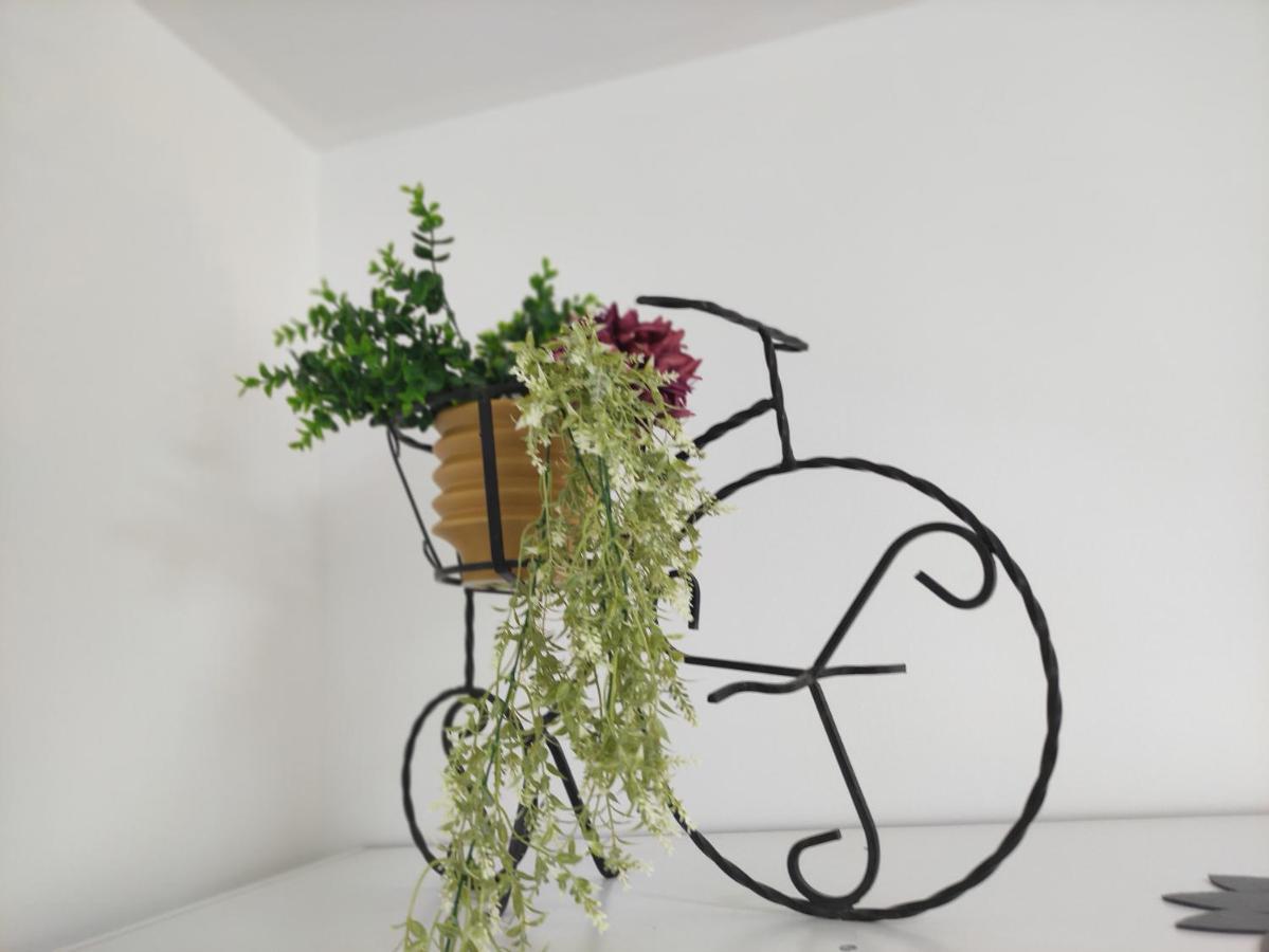 רייקה Apartman Iris S Terasom מראה חיצוני תמונה