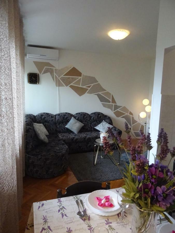 רייקה Apartman Iris S Terasom מראה חיצוני תמונה